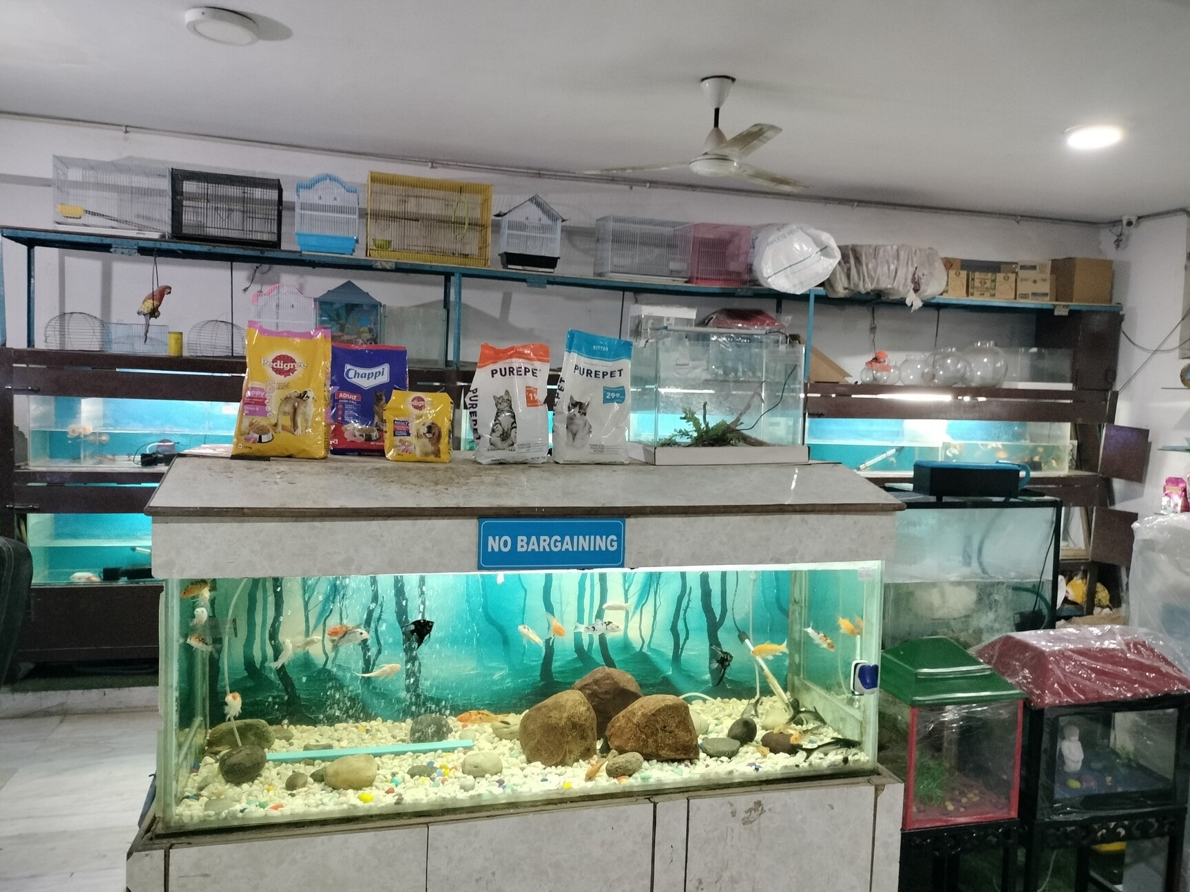 Any aquarium shop near me best sale