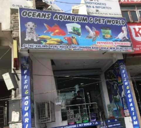 Top Pet Shops For Birds in Dwarka More Best Bird Shops Delhi Justdial