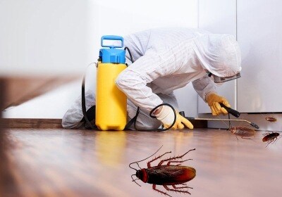 Bathroom Pest Control