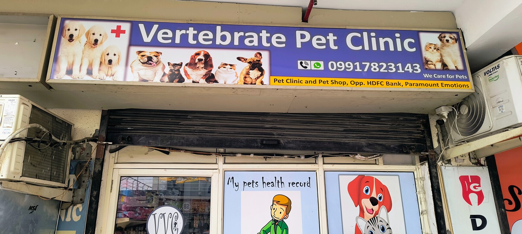 Pet Shop Places That Board Cats Near Me Cat Toy Running Track