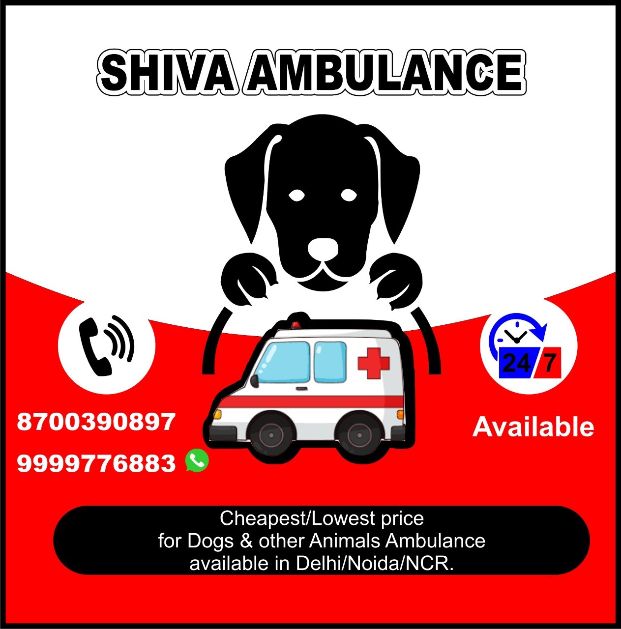 Greater Noida Animal Govt Hospital Near Me Animal Welfare Dog