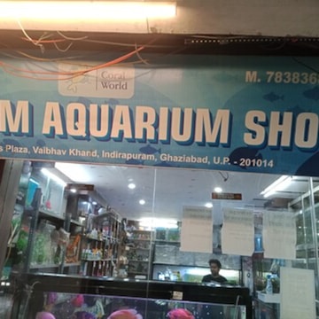 Top Fish Aquarium Dealers in Vaishali Sector 4 Best Fish Aquarium Shops Justdial