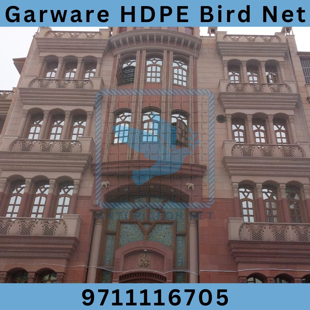 Bird。 Top Pet Shops For Birds in Etawah - Best Bird Shops near me