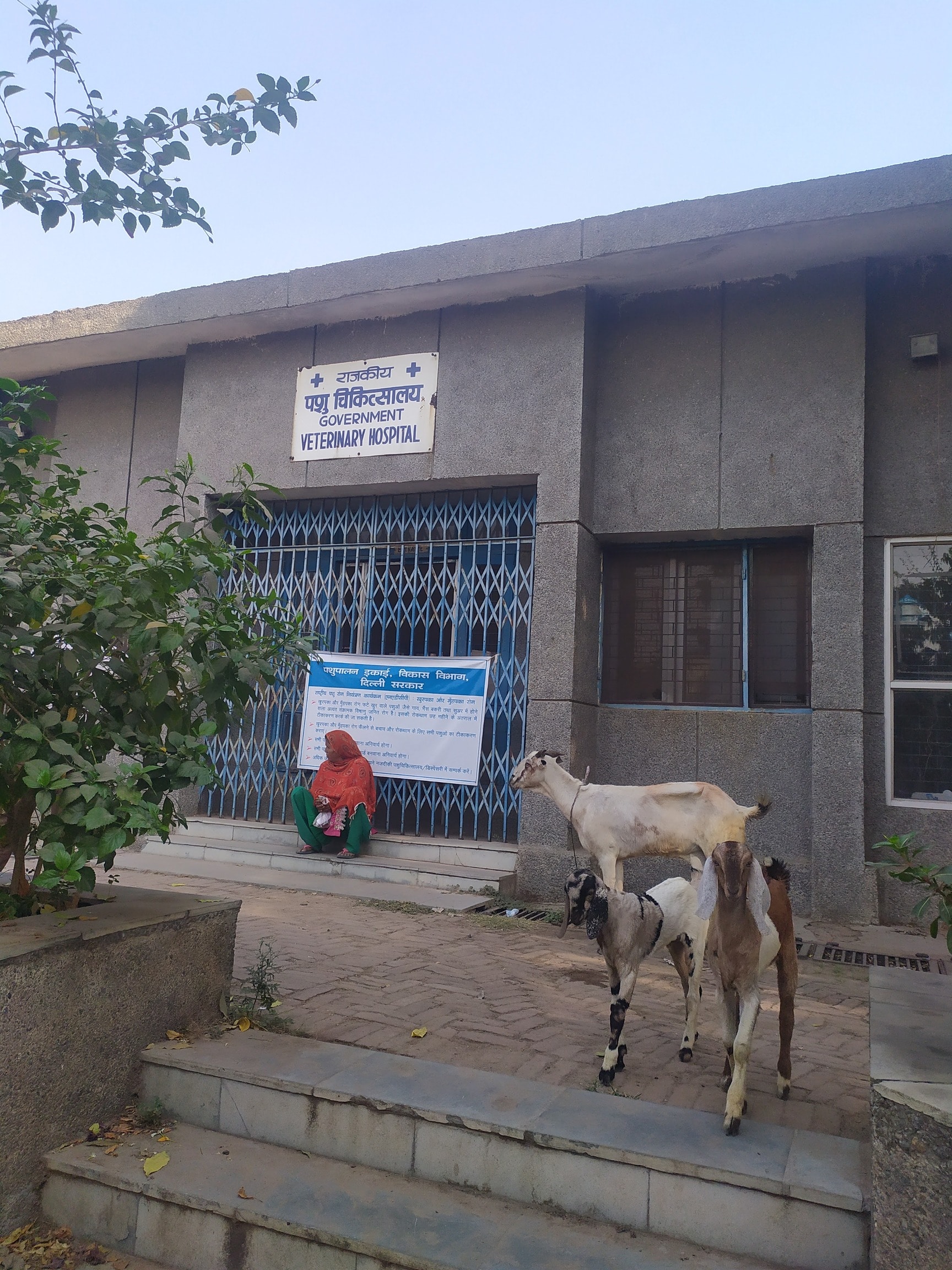 Greater Noida Animal Govt Hospital Near Me Hot Govt Hospital For