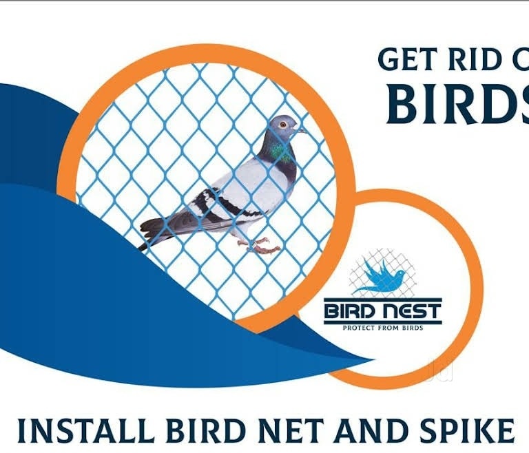 Ensuring Safety and Bird Control in Murarji Peth, Solapur - Expert Solutions for Pigeon Net Installation and More