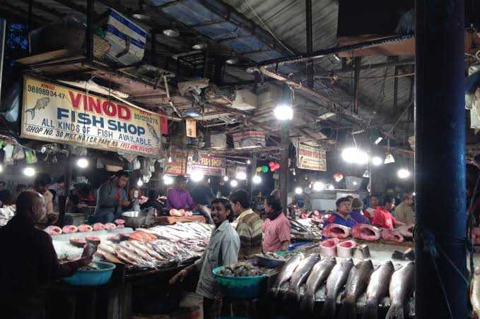 Vinod Fish Shop in Chittaranjan Park,Delhi - Best Fish Retailers near me in Delhi - Justdial