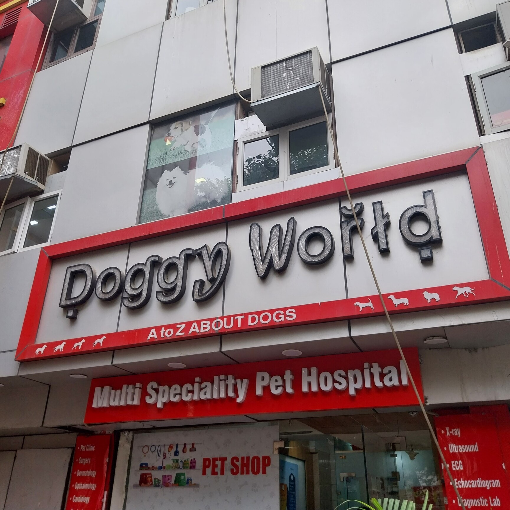 Doggy World in Rohini Sector 8 Delhi Best Pet Shops For Dog near me in Delhi Justdial