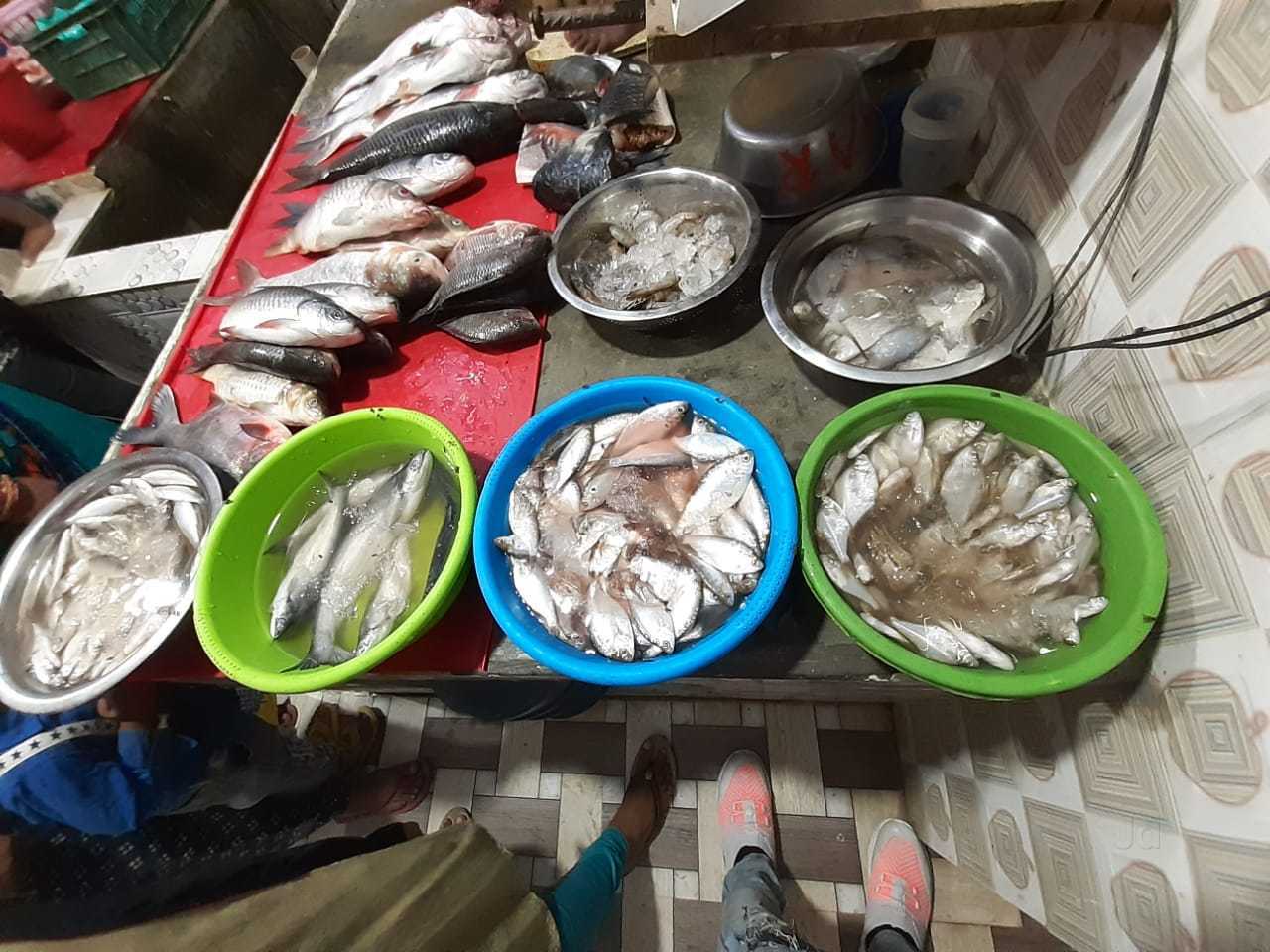 Fish Retailers in Noida Sector 22, Noida - Fish Suppliers - Justdial