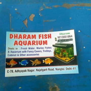Top Aquariums in Nangloi Extension Best Fish Tank Dealers near me Justdial