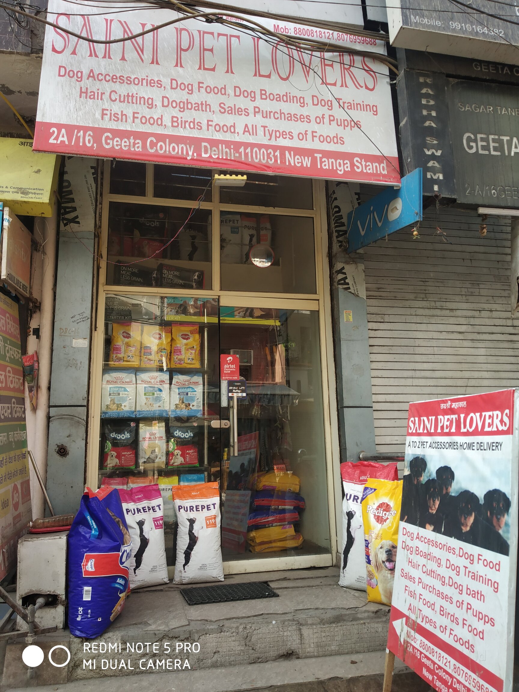 Delhi Pet Supplies Near Me Delhi Places That Buy Dogs Near Me