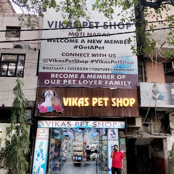 Buy vikas pet shop kirti nagar Outlet