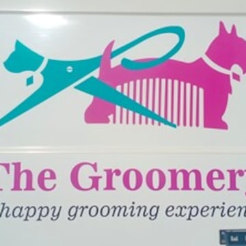 Dog grooming clothing suppliers hotsell