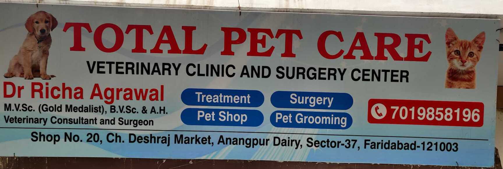Grooming Center Vet Clinics Open Near Me Pet Clinic Nearest Pet