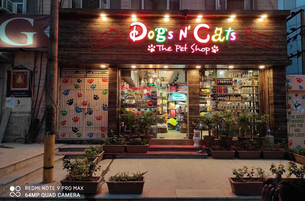 Cats and dogs shop sale