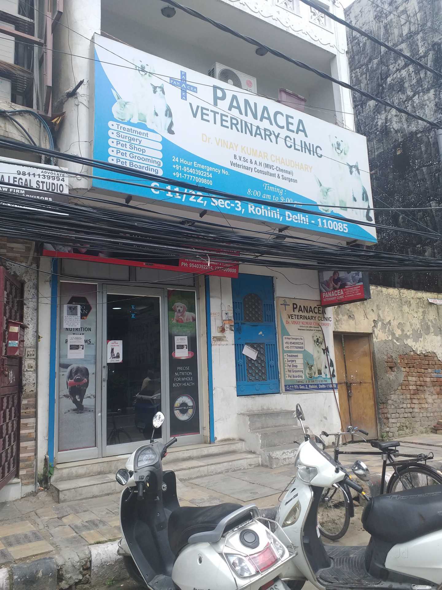 Delhi Dog Pet Doctor Near Me Delhi Pet Clinic Near Me Rohini Delhi