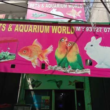 Bunny pet shop near me online