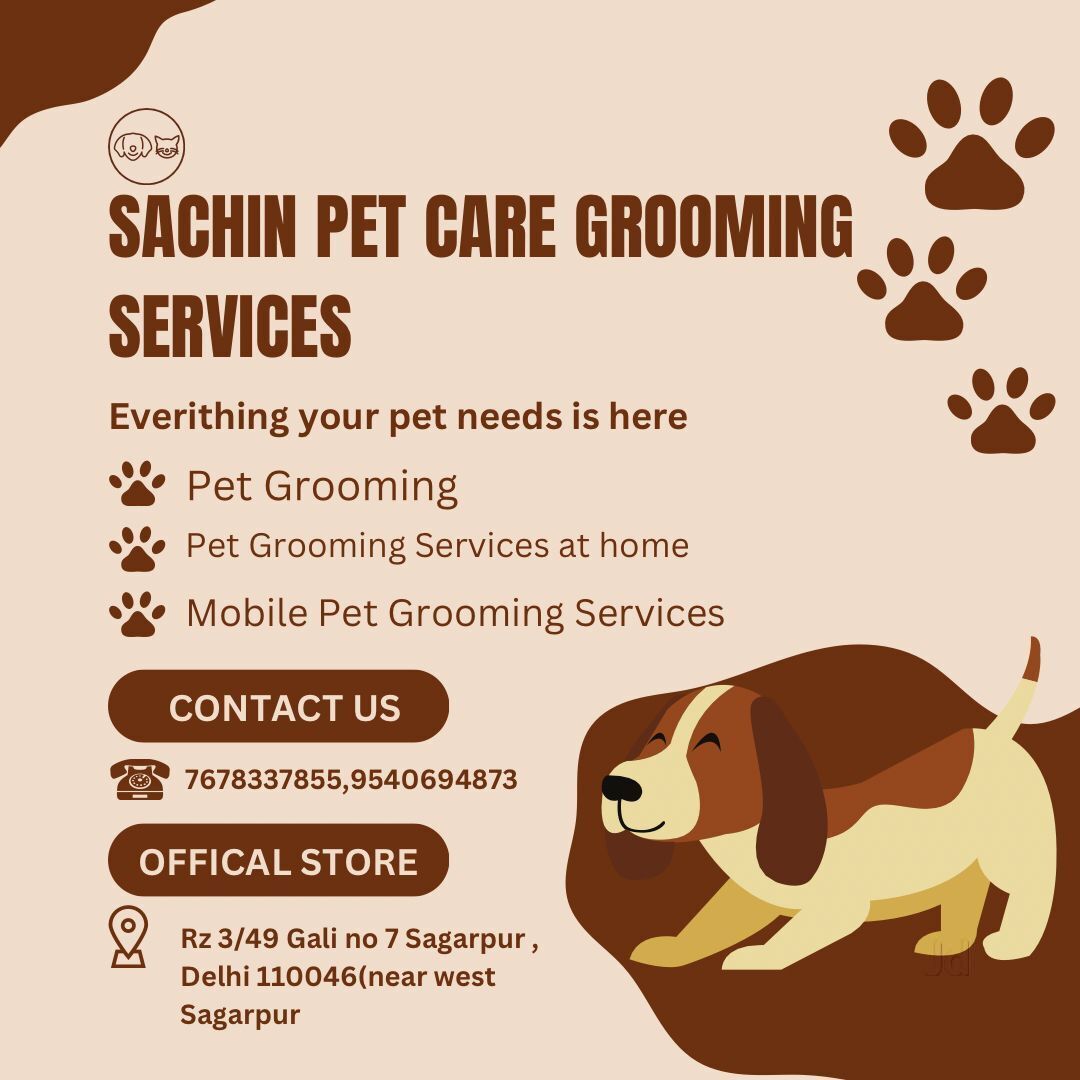 Pet Grooming In Home Pet Sitting Services Near Me Pet Sitters