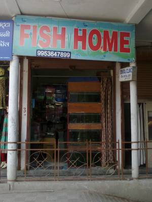 Fish Home in Mahipalpur Delhi Best Aquarium Accessory Dealers near me in Delhi Justdial