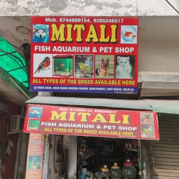 fish aquarium accessories wholesale market in delhi Top Aquarium Accessory Dealers in Burari, Delhi near me