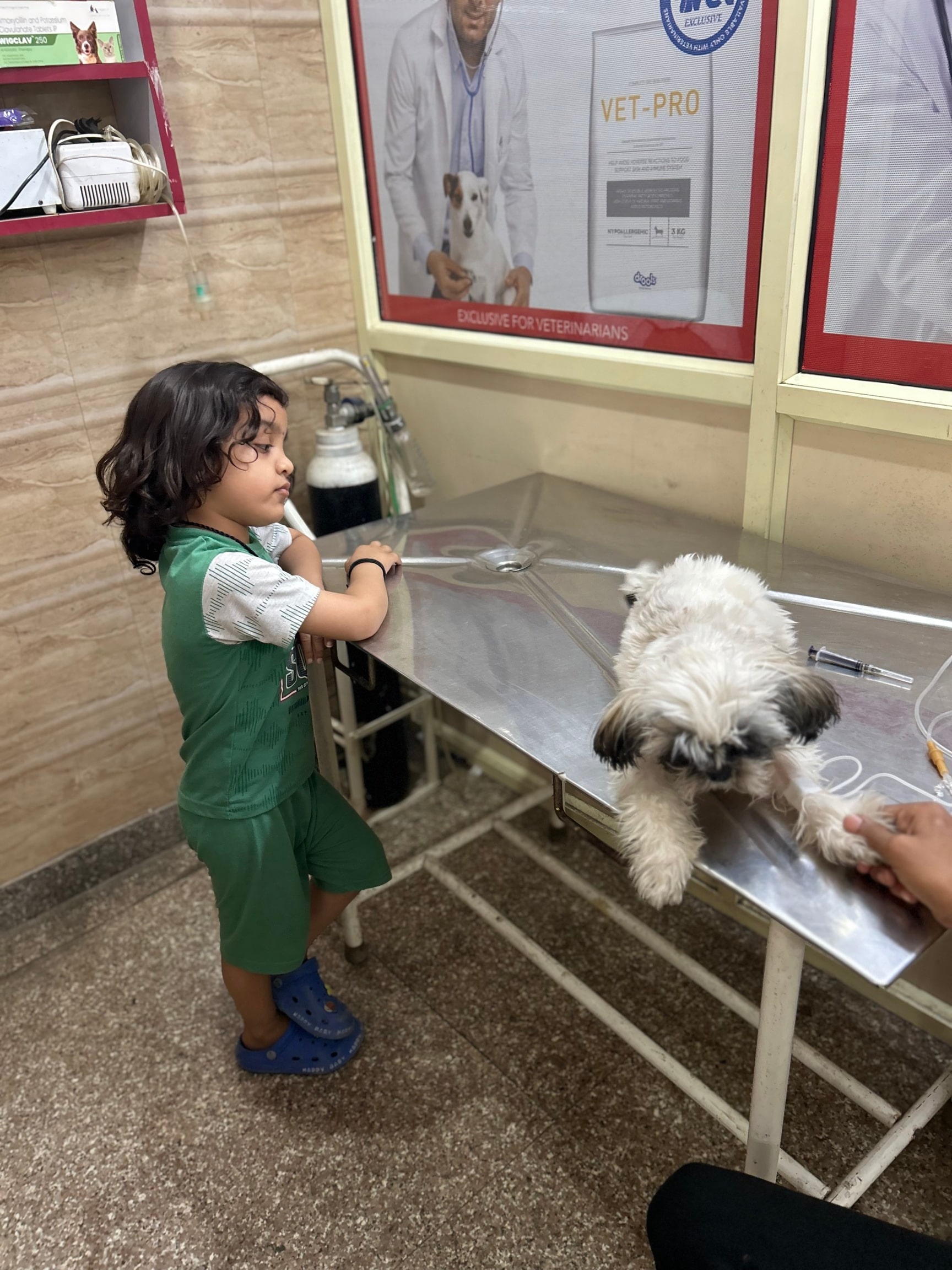 Delhi Closest Reptile Vet Near Me Shop Herp Veterinarian Near Me