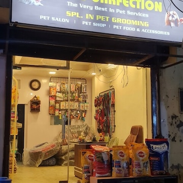 Dog shop in rohini best sale