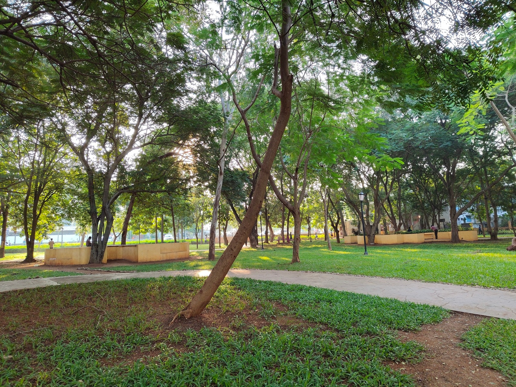 happy street state bank colony 2 east godavari tourist attraction 9sbvn0ijyo