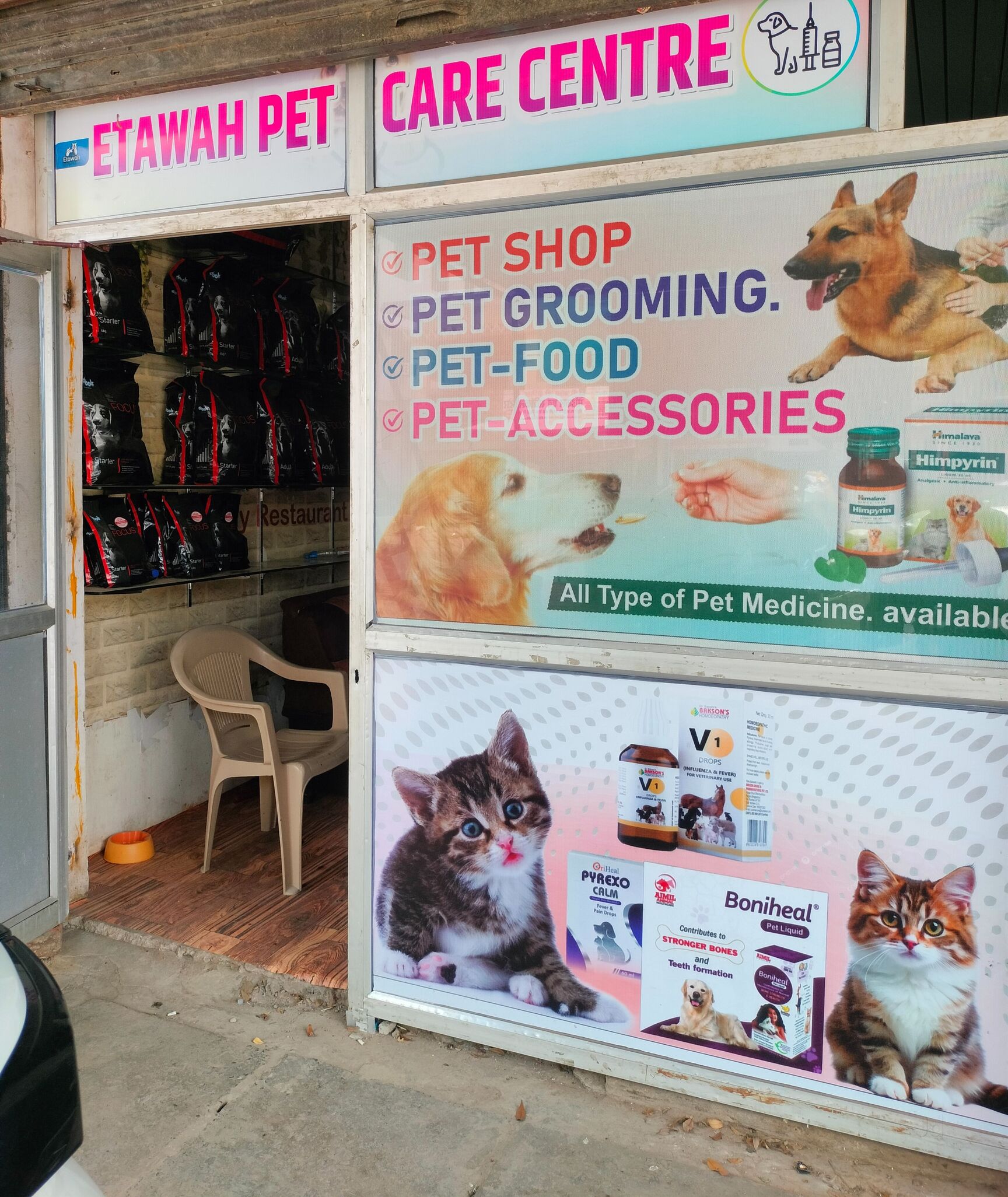 Bird。 Top Pet Shops For Birds in Etawah - Best Bird Shops near me