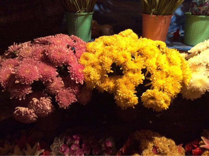 5 Photos of Varun Flower Shop in Indirapuram, Ghaziabad - Justdial