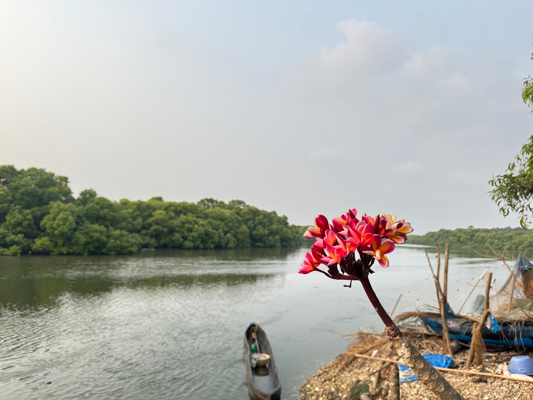 River View By Nirvana Abode in Ambelim,Goa - Best Tourist Attraction near  me in Goa - Justdial