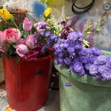 flowerliving様まとめ買い専用ページ Murakami.Flowers Collectible Trading Card 108フラワーズ Revised