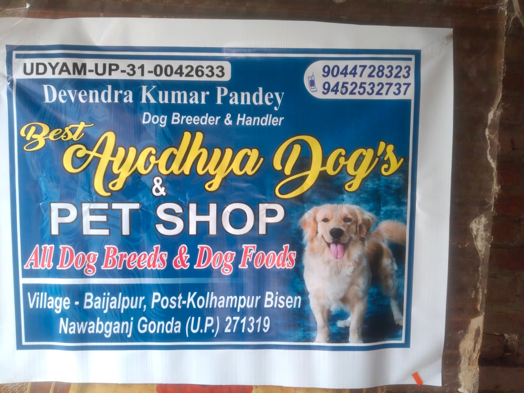 Top Pet Shops in Gonda - Best Pet Store near me - Justdial