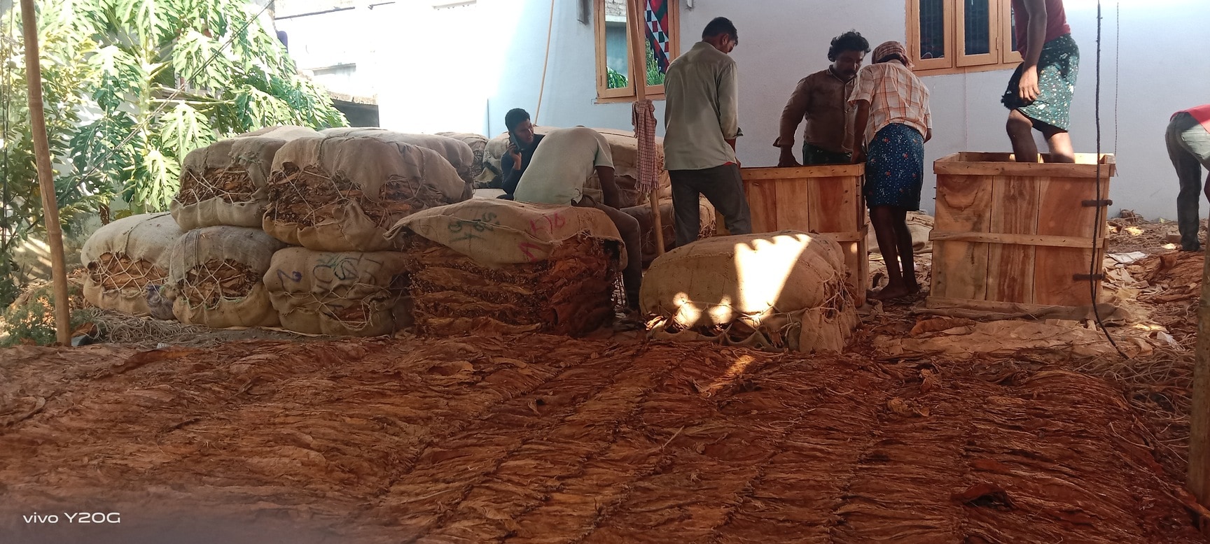 Top Tobacco Exporters in Guntur near me