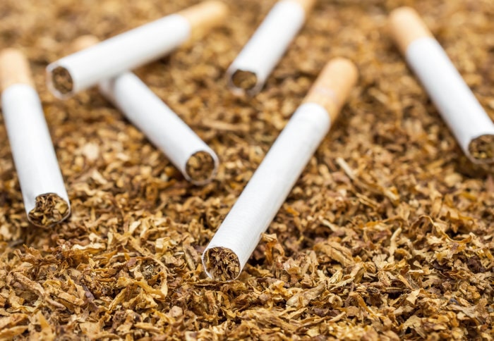 cs tobacco Cigar Review: Cohiba Spectre CS19