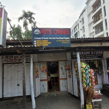 Akita pet shop 2025