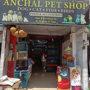 Top Fish Food Retailers in Haridwar Best Fish Feed Retailers Justdial