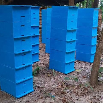 Top Honey Bee Hive Box Dealers in Guwahati near me - Justdial