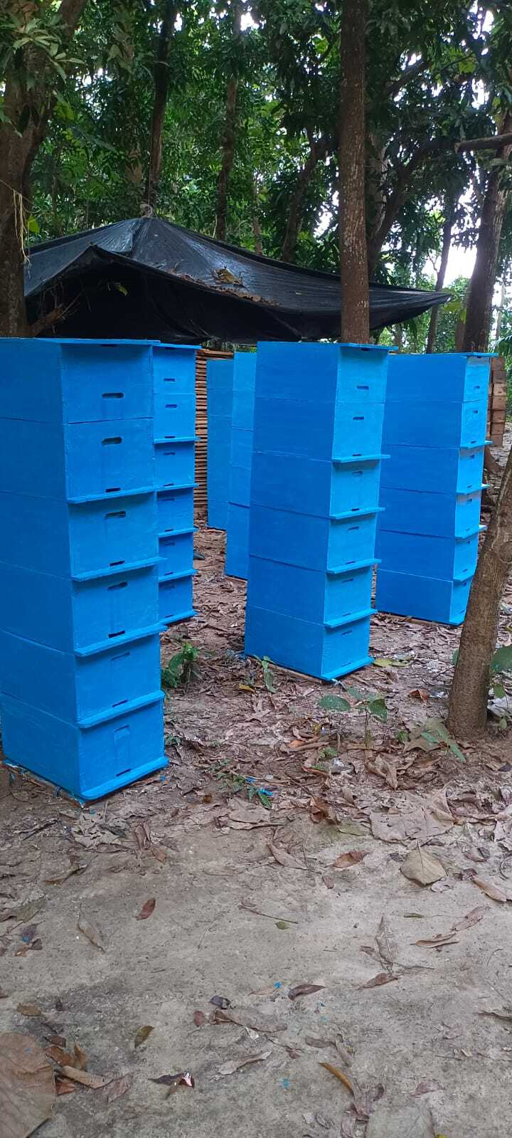 Top Honey Bee Hive Box Dealers in Muzaffarpur near me - Justdial
