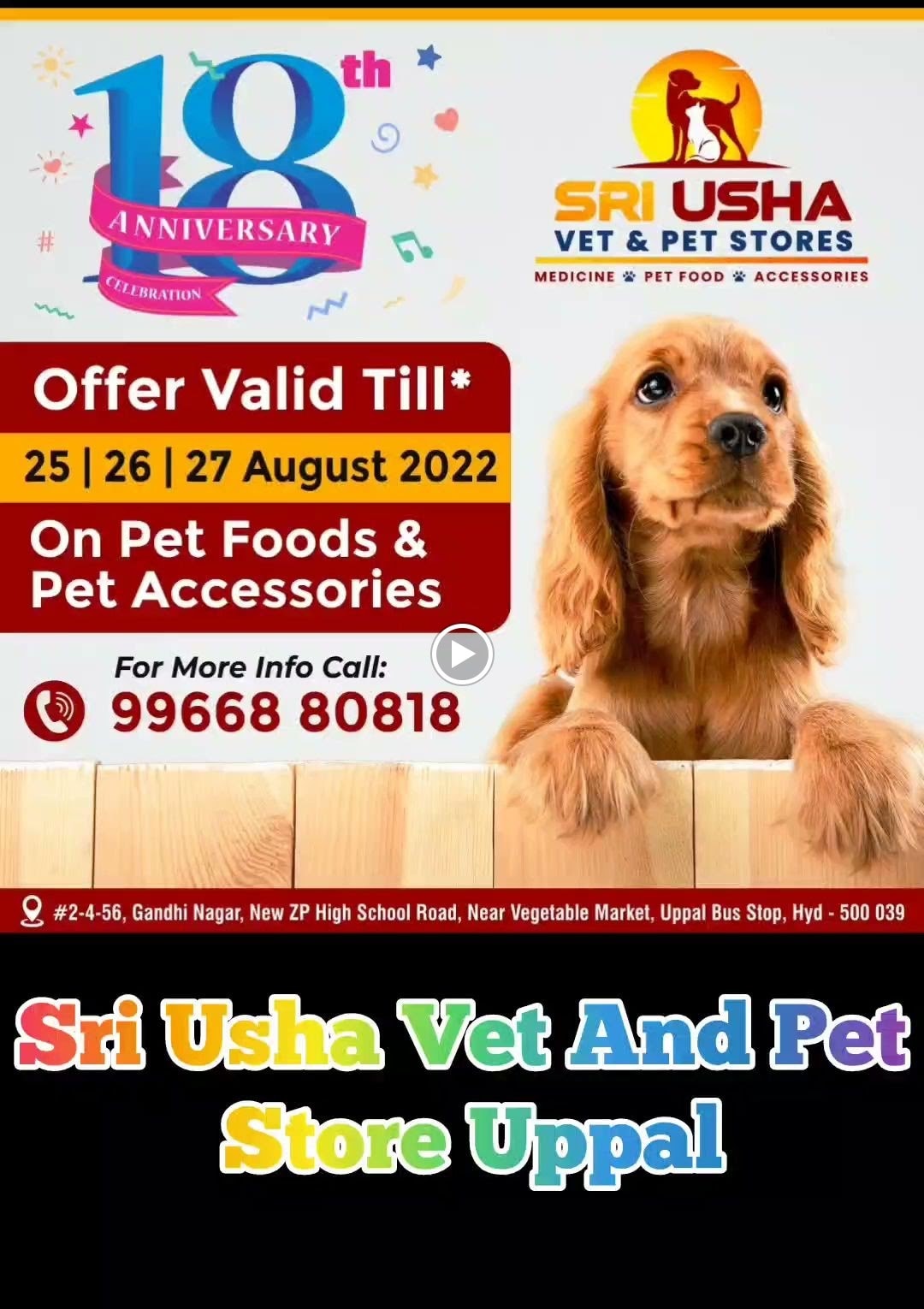 chennai pet animals shop near me