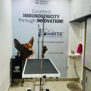 Hyderabad Top Rated Animal Hospitals Near Me Doc Reptile Vet