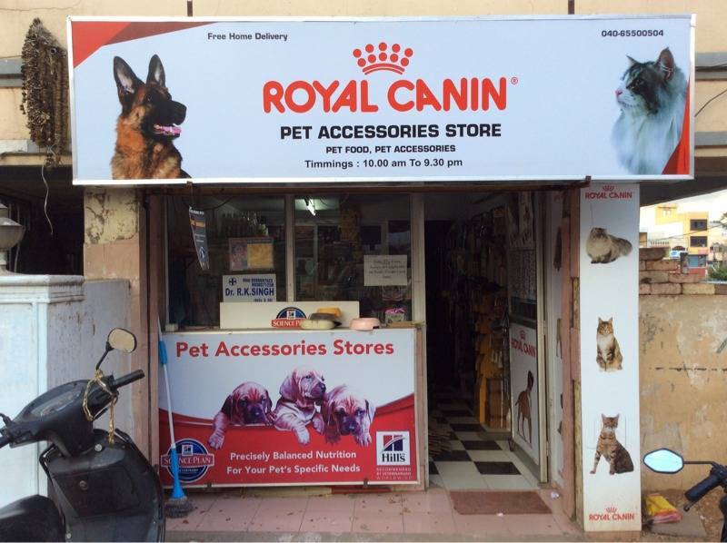 Dog accessories store near me sales