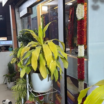 Lab view 2