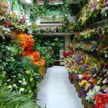 Top Artificial Plant Dealers in Hyderabad - Best Plastic Plant Dealers near  me - Justdial