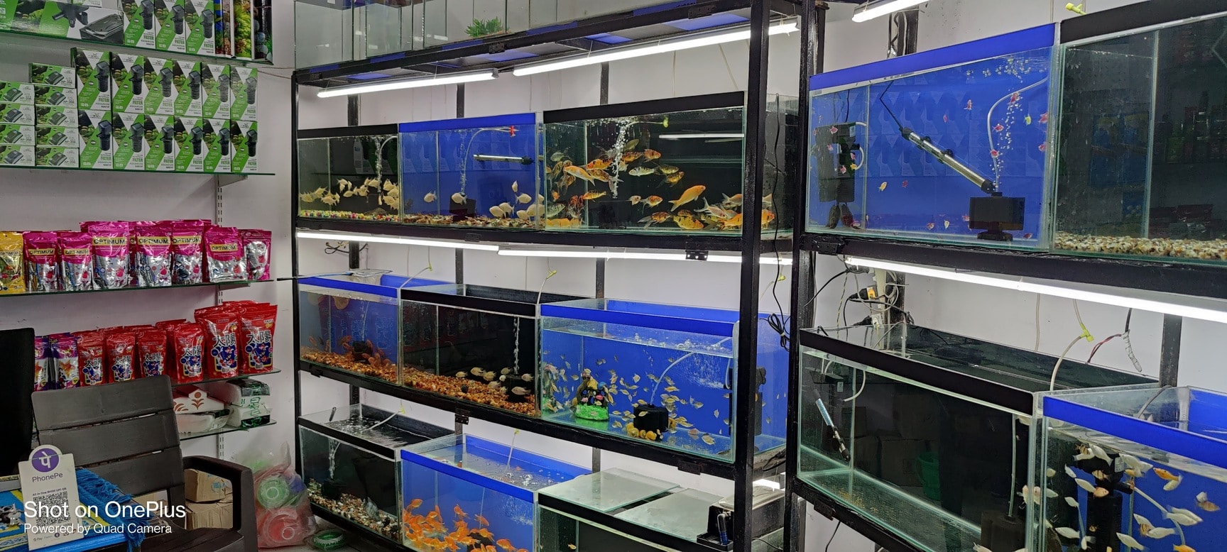 Exotic Aquariums in Barkatpura Hyderabad Best Aquarium Accessory Dealers near me in Hyderabad Justdial