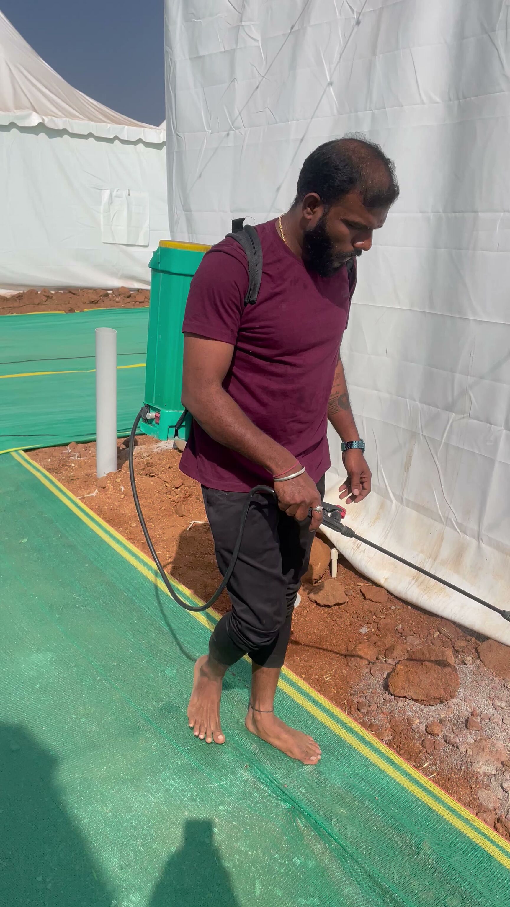 Sps Pest Control Services in Manikonda,Hyderabad Best Pest Control