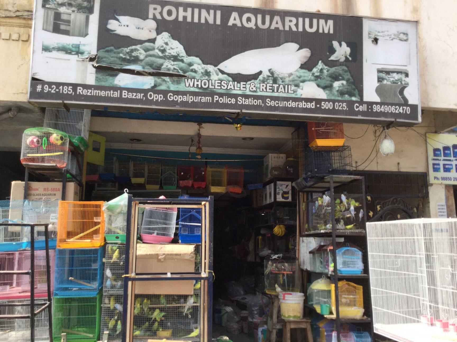 Rohini Aquarium in Secunderabad City Secunderabad Best Fish Tank Decorators near me in Secunderabad Justdial