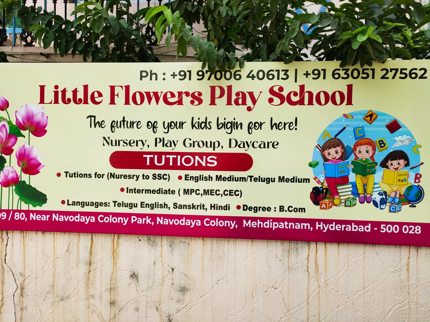 Little flowers play school &Daycare