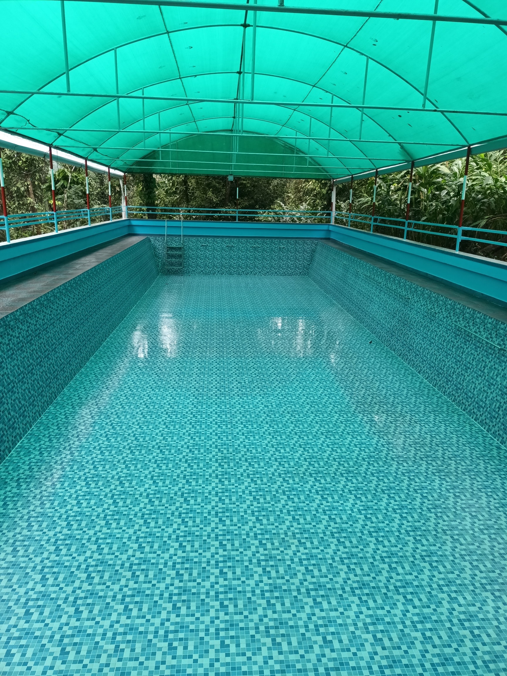 Discover Top Swimming Pools in Thodupuzha, Idukki - Justdial
