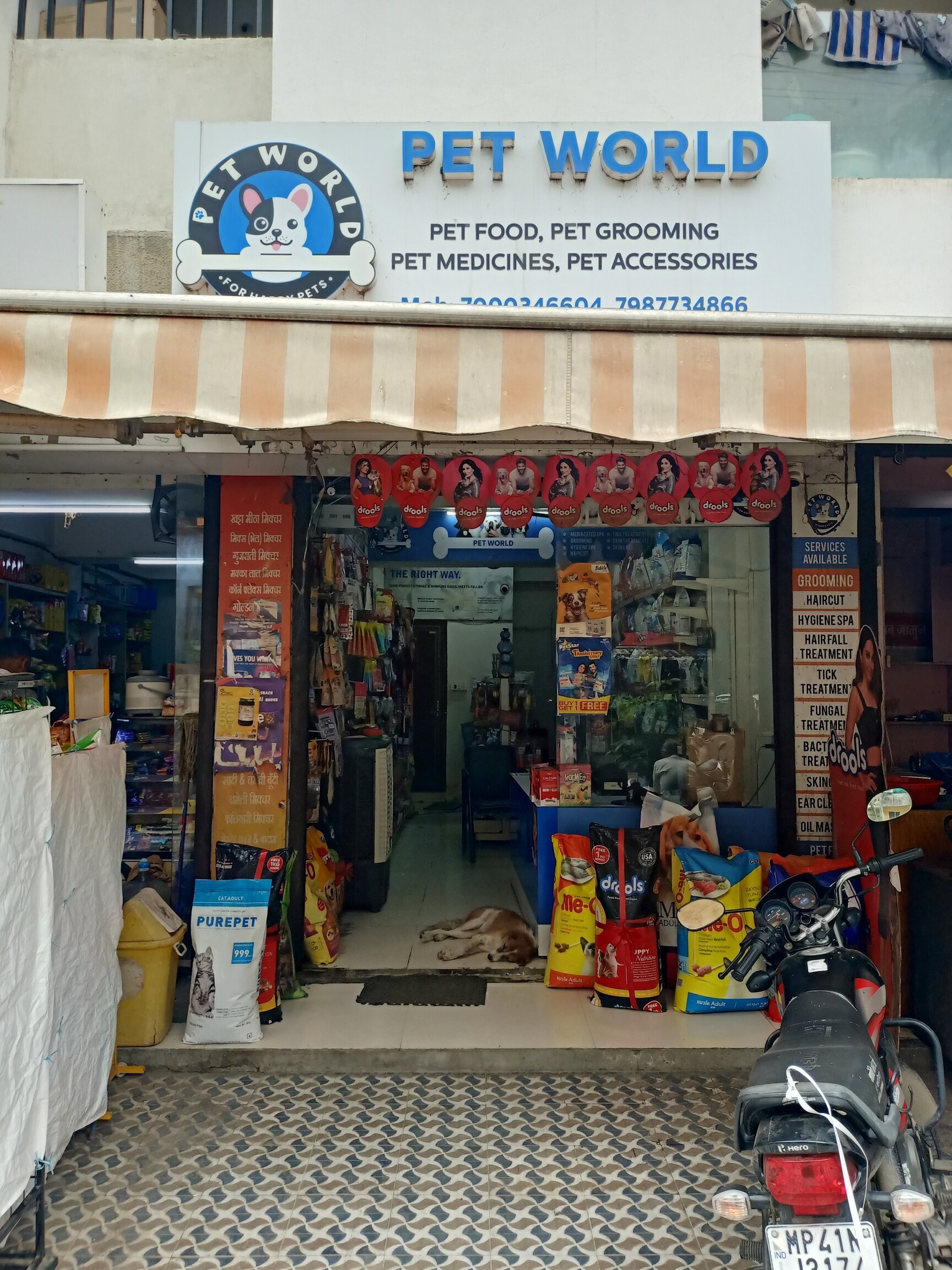 Pet world shop near me shop