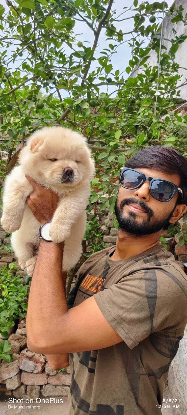 Rathore Kennel & Pet Servic..