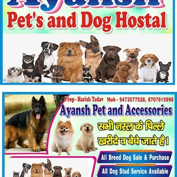 Stud park pet shop outlet